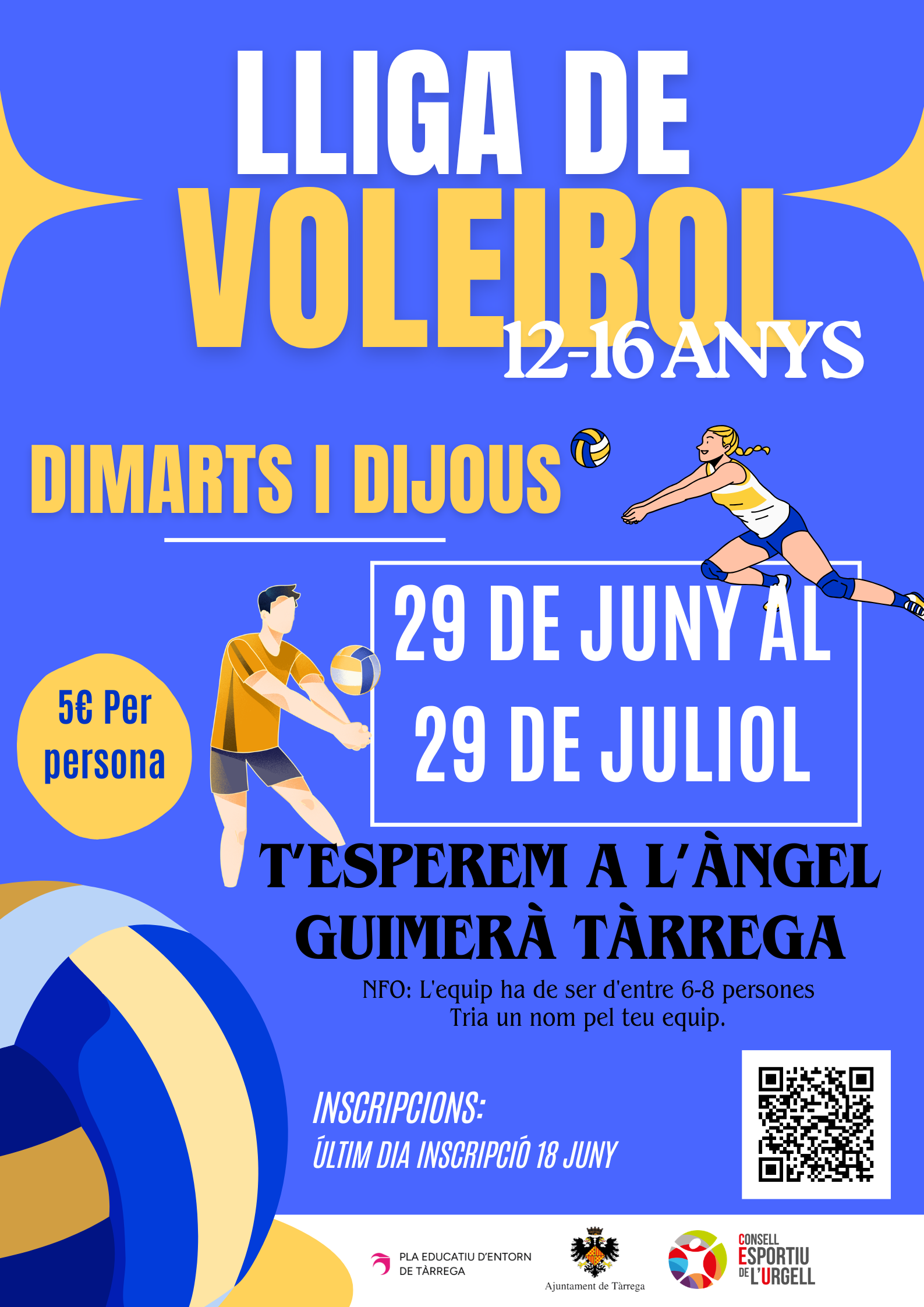 Lligavoleibol_2026